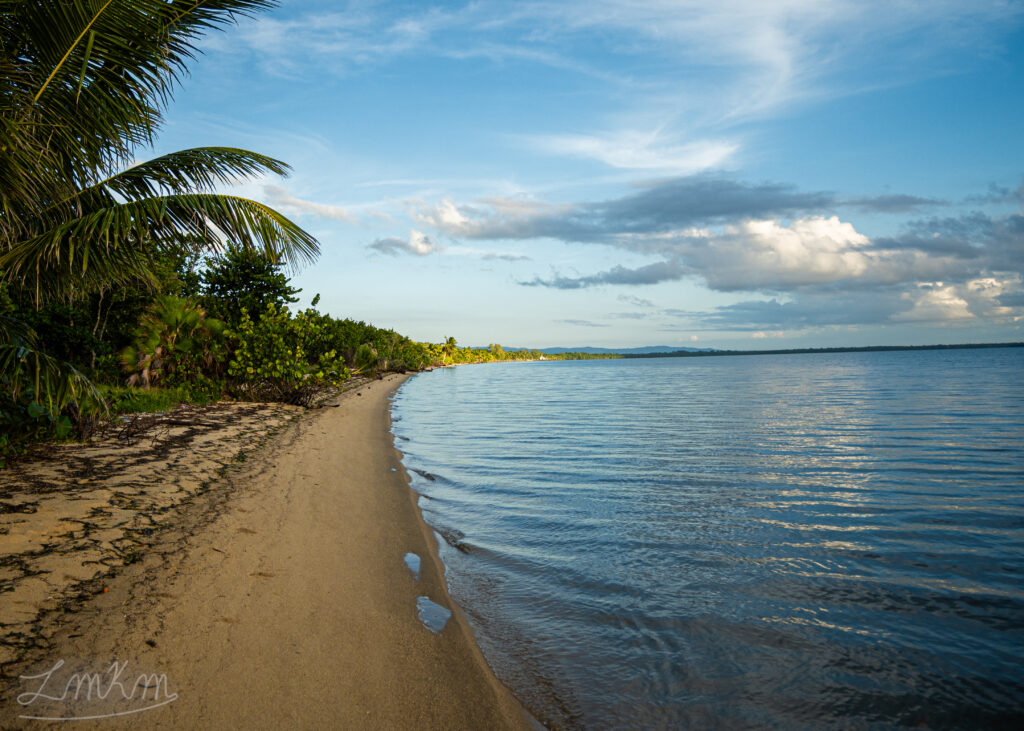 Lot 24 looking north
